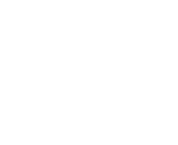 Mount Vernon Vessels and Vines logo