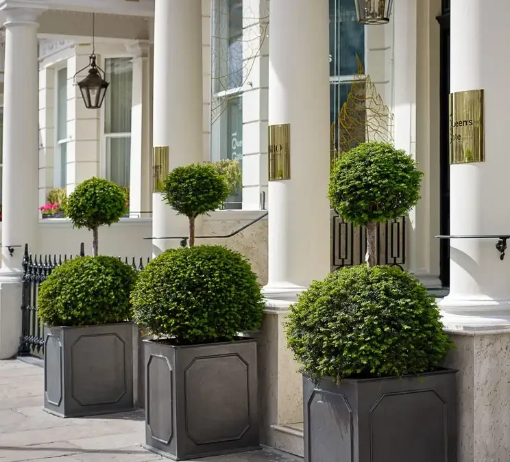 Stuart Planter and Trough