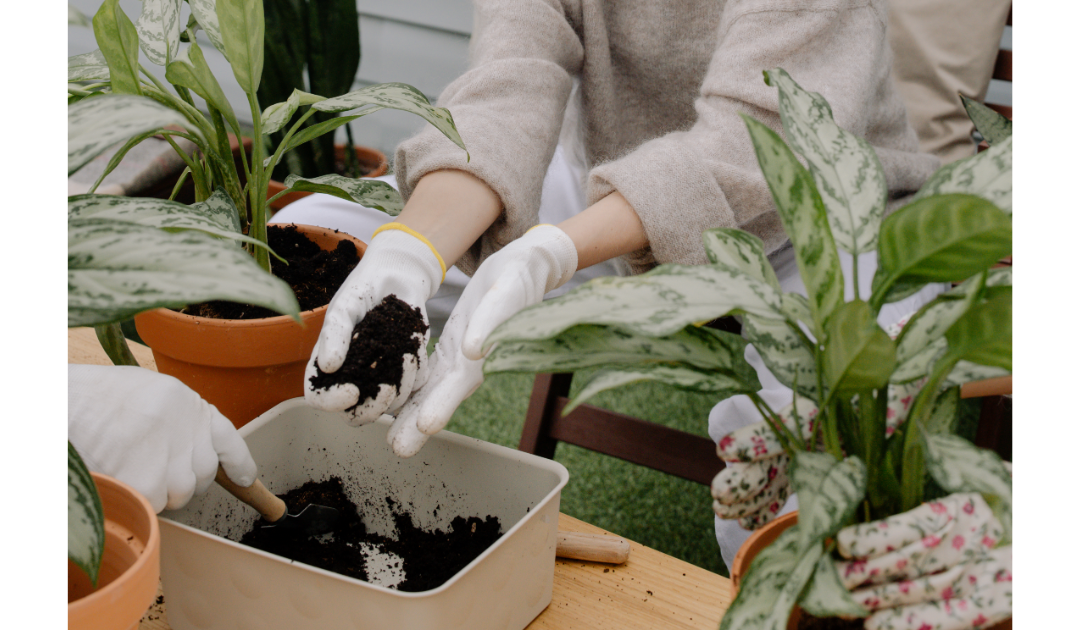 5 Best Practices and Myths About Drainage