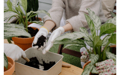 5 Best Practices and Myths About Drainage