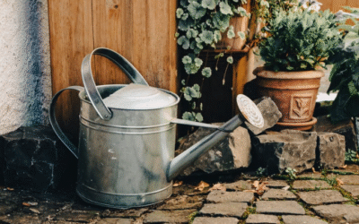 5 Summer Heat Strategies for Container Gardens