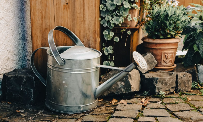 5 Summer Heat Strategies for Container Gardens