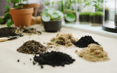 5 Tips For Choosing The Correct Soils for Landscape Containers