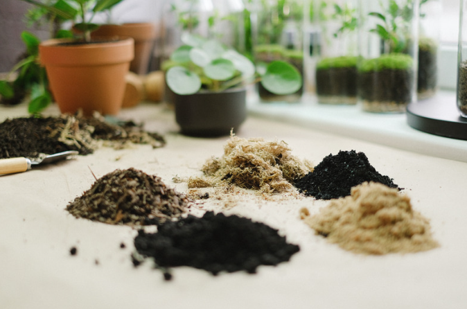 5 Tips For Choosing The Correct Soils for Landscape Containers