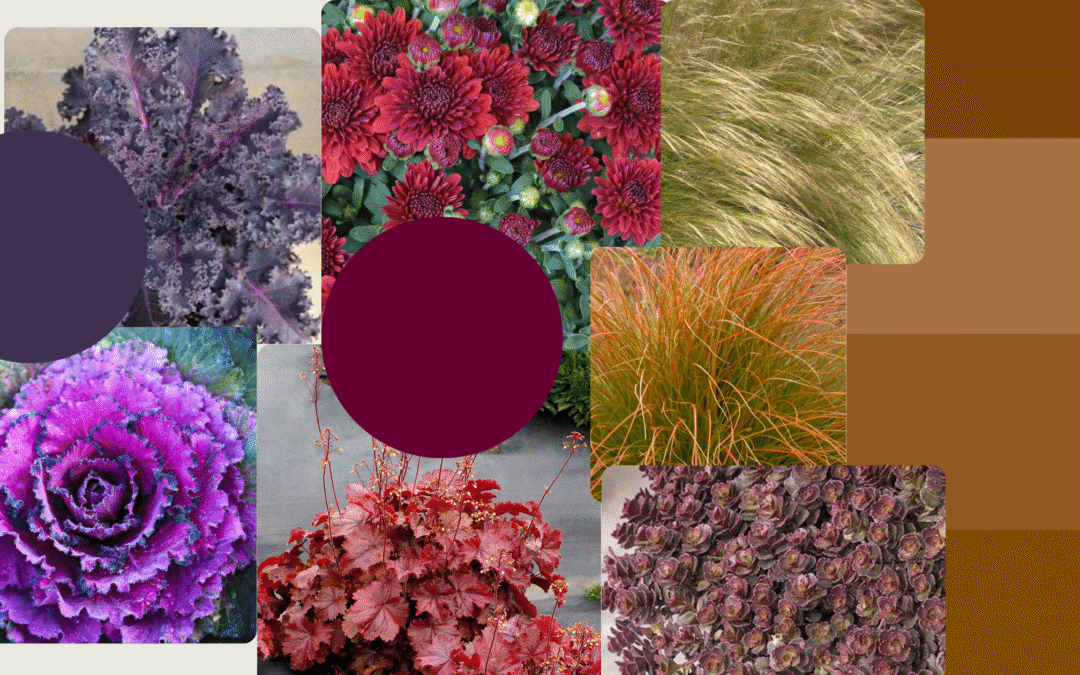 5 Fall Container Tips for Professional Landscapers