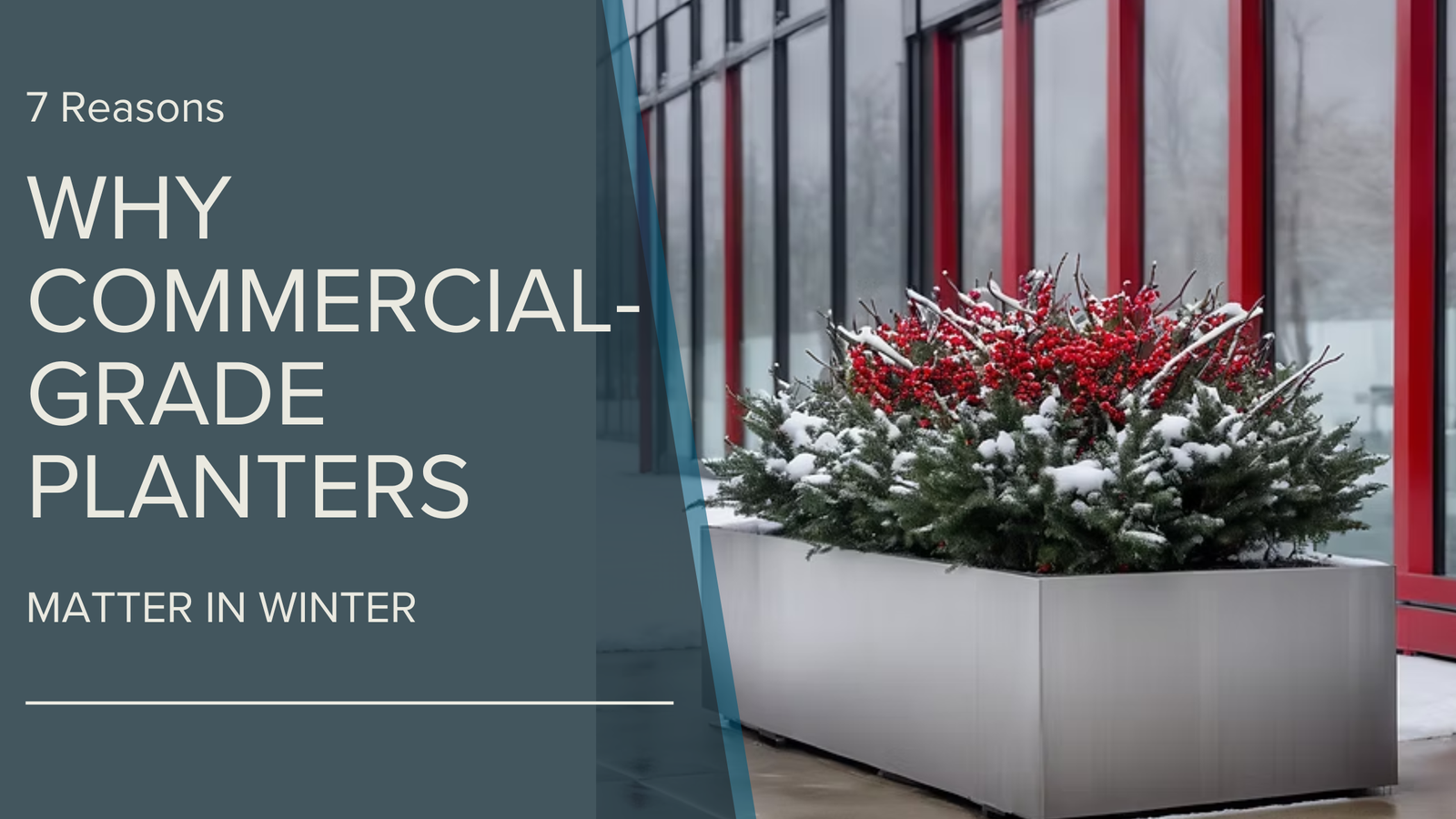 7 reasons why commercial-grade planters matter in winter with a snowy silver planer with red berries and green foliage