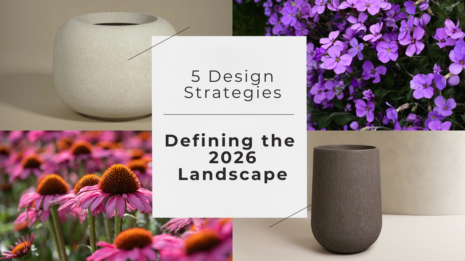 four photos of two nutreul landscape planters. one picture a bright purple small flowers and a pink and orange coneflower