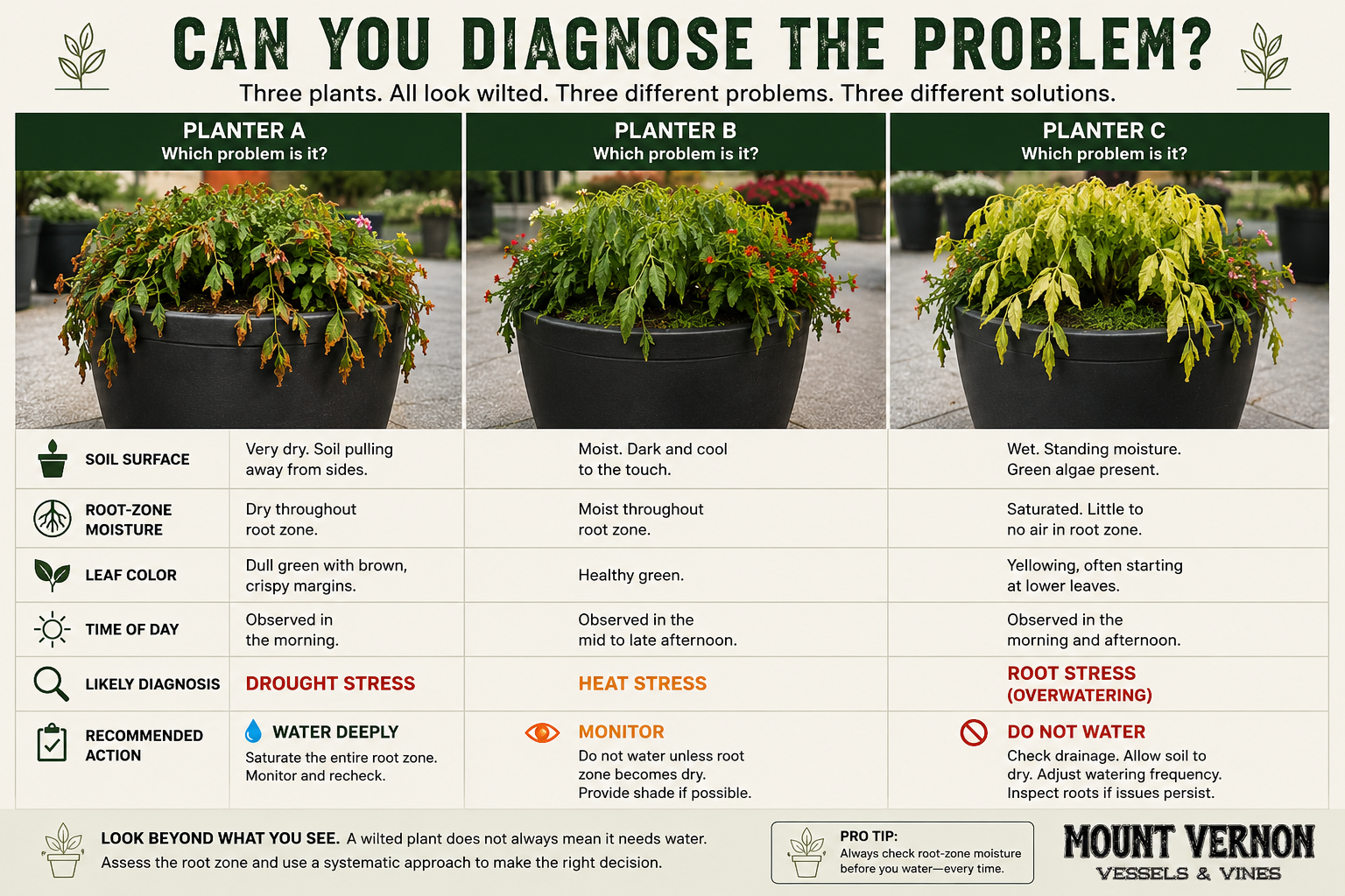 three columns of stressed plants with a chart under each planter